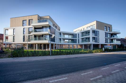 Project te koop Wingene