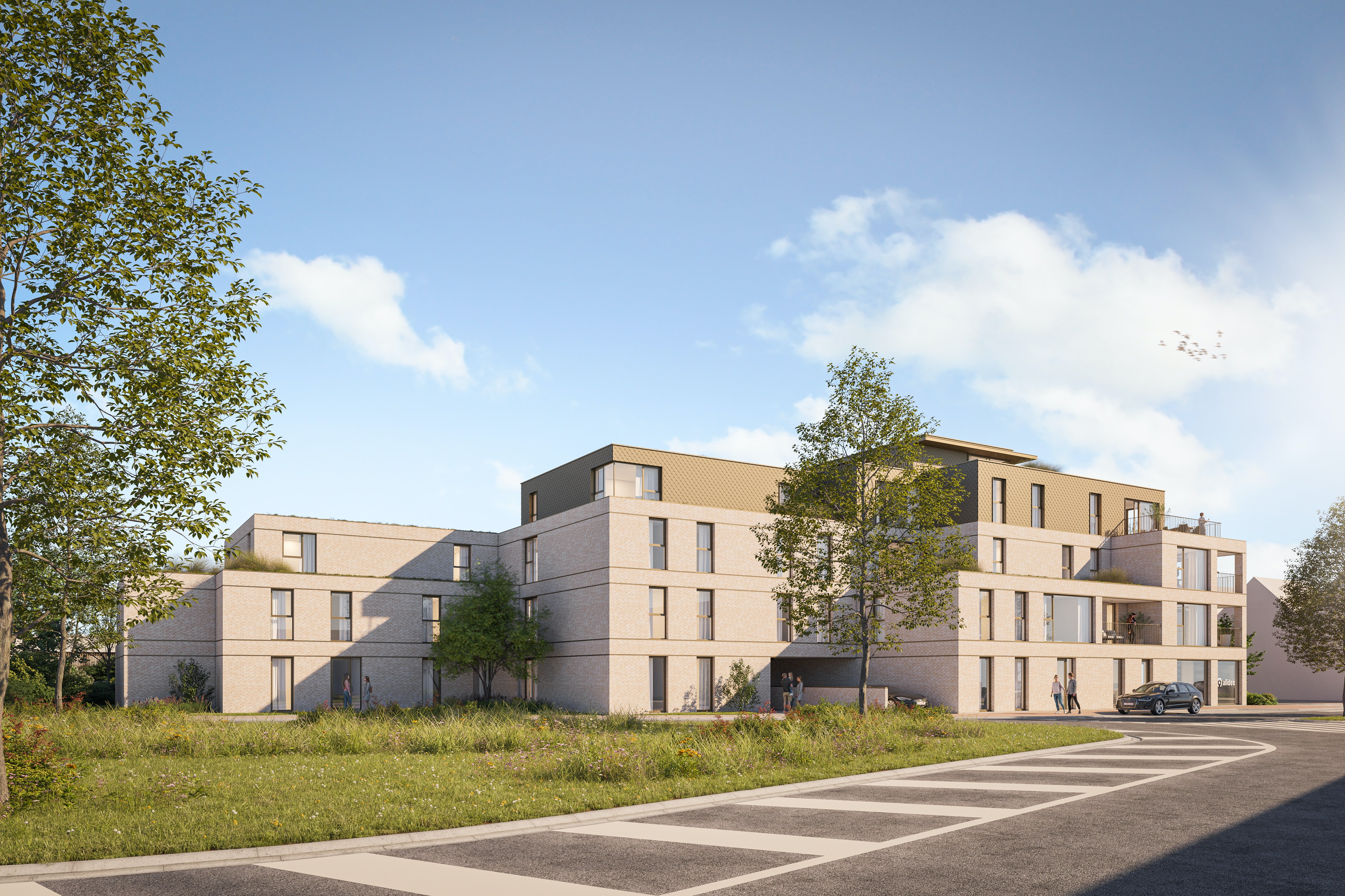 Render Vue 1