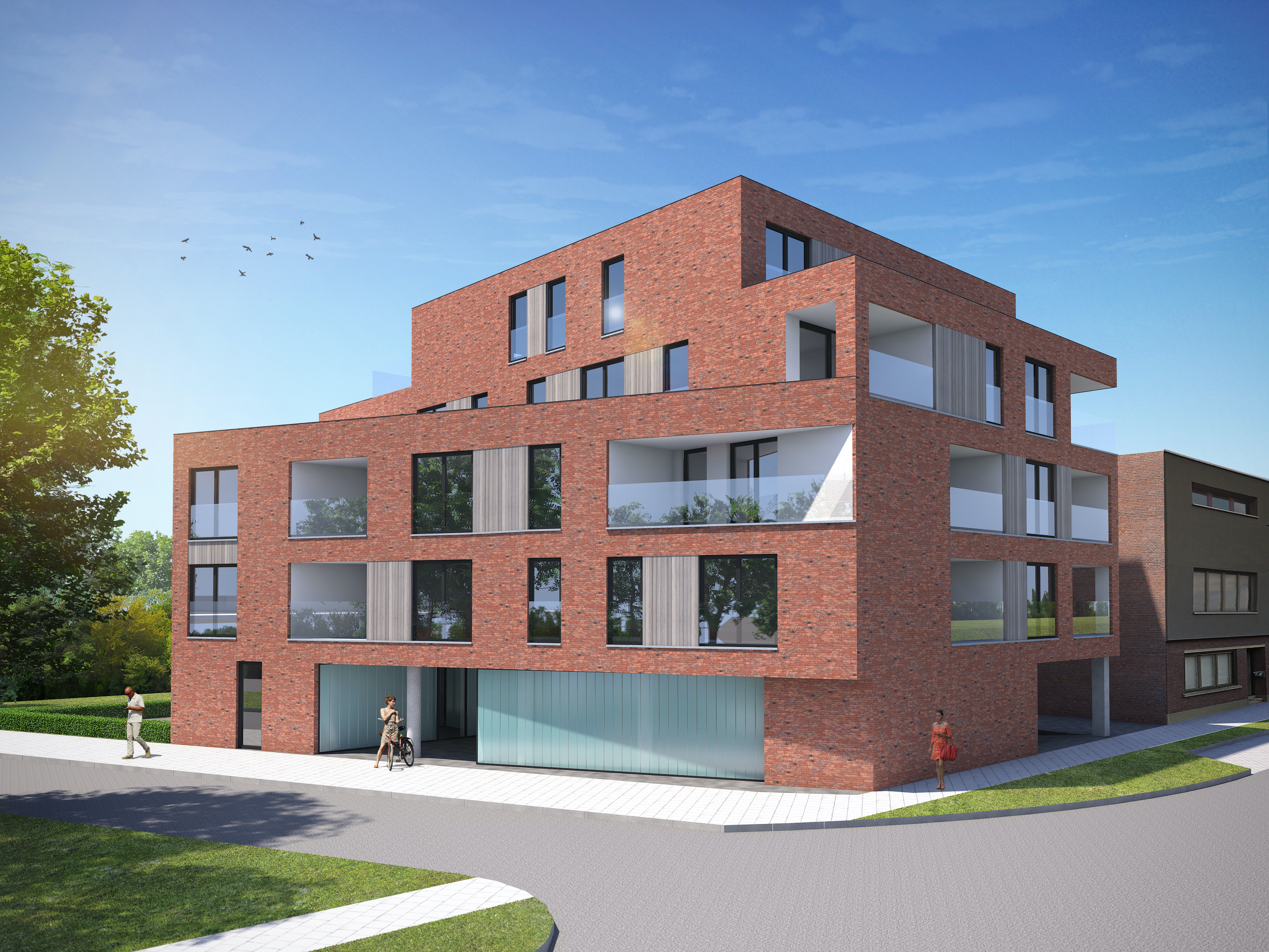 Render Camelia