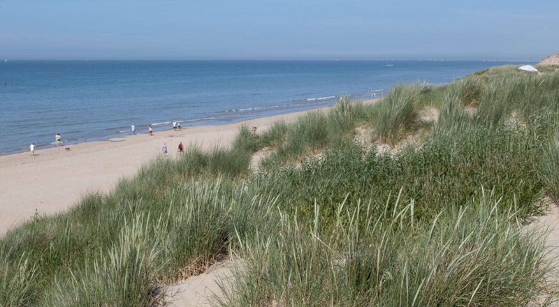 Kust - duinen