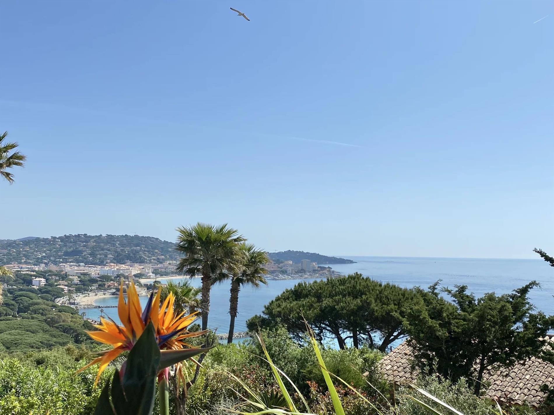 Verkoop - Sainte-Maxime