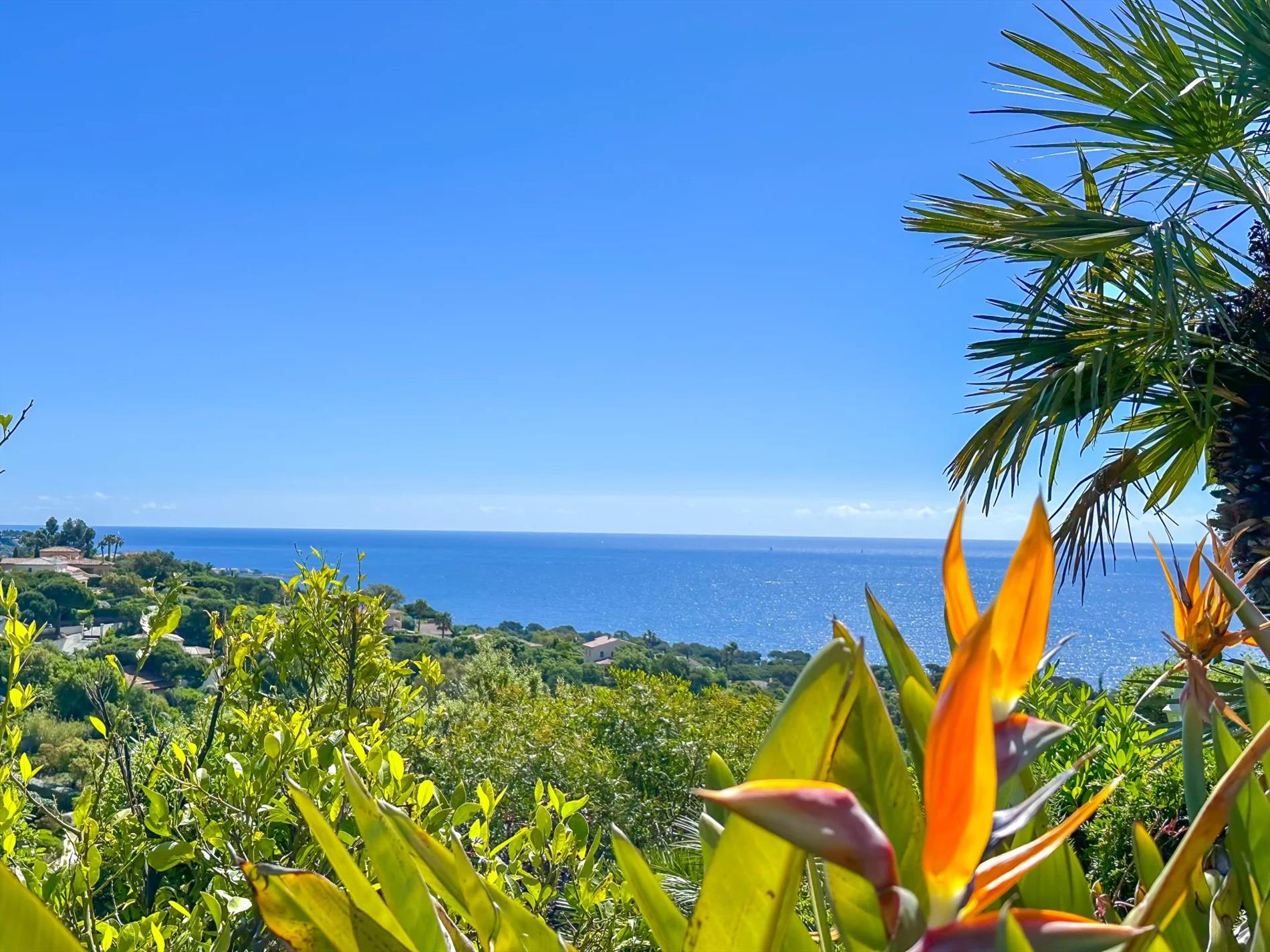 Verkoop - Sainte-Maxime