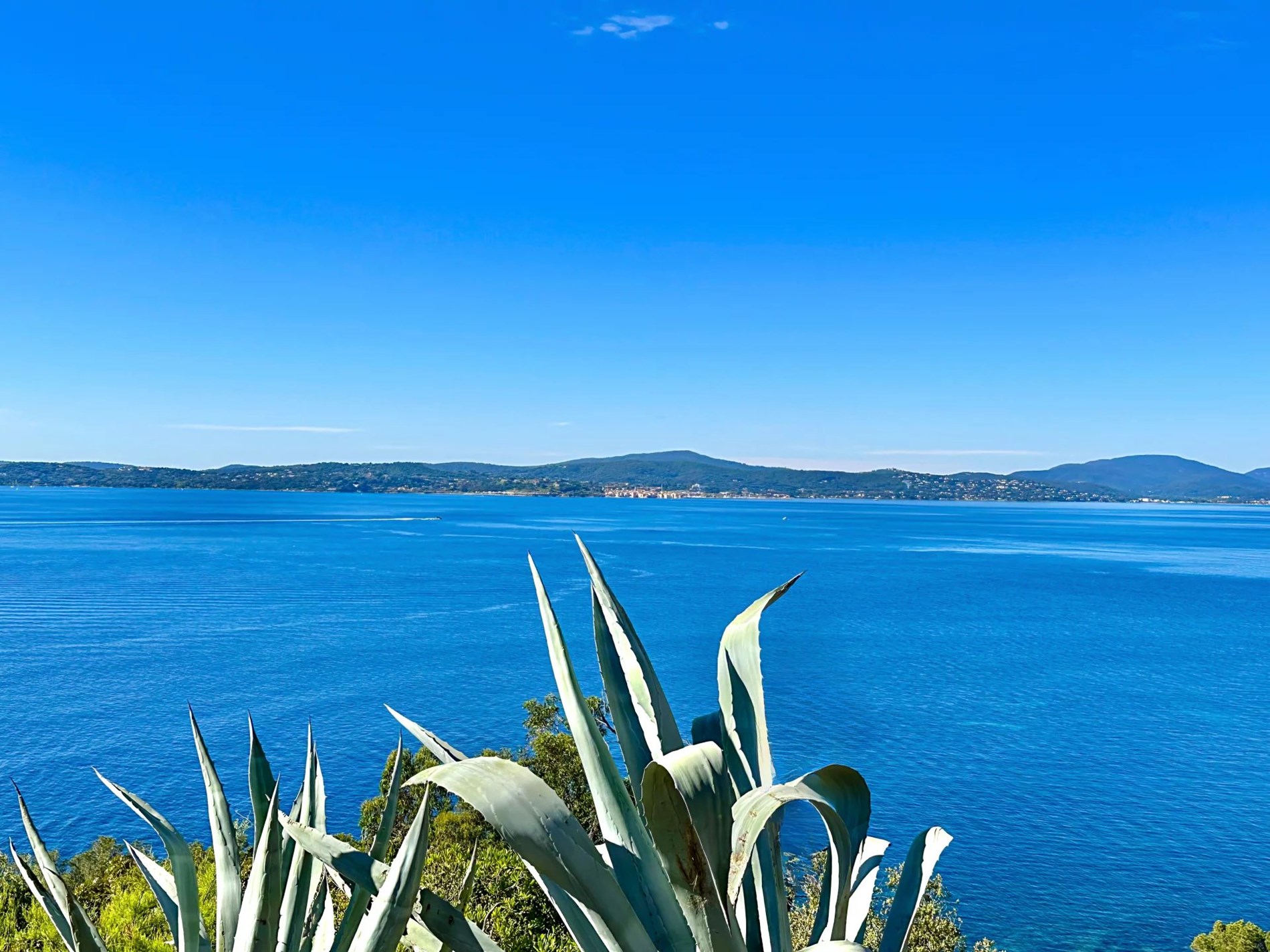 Verkoop - Sainte-Maxime