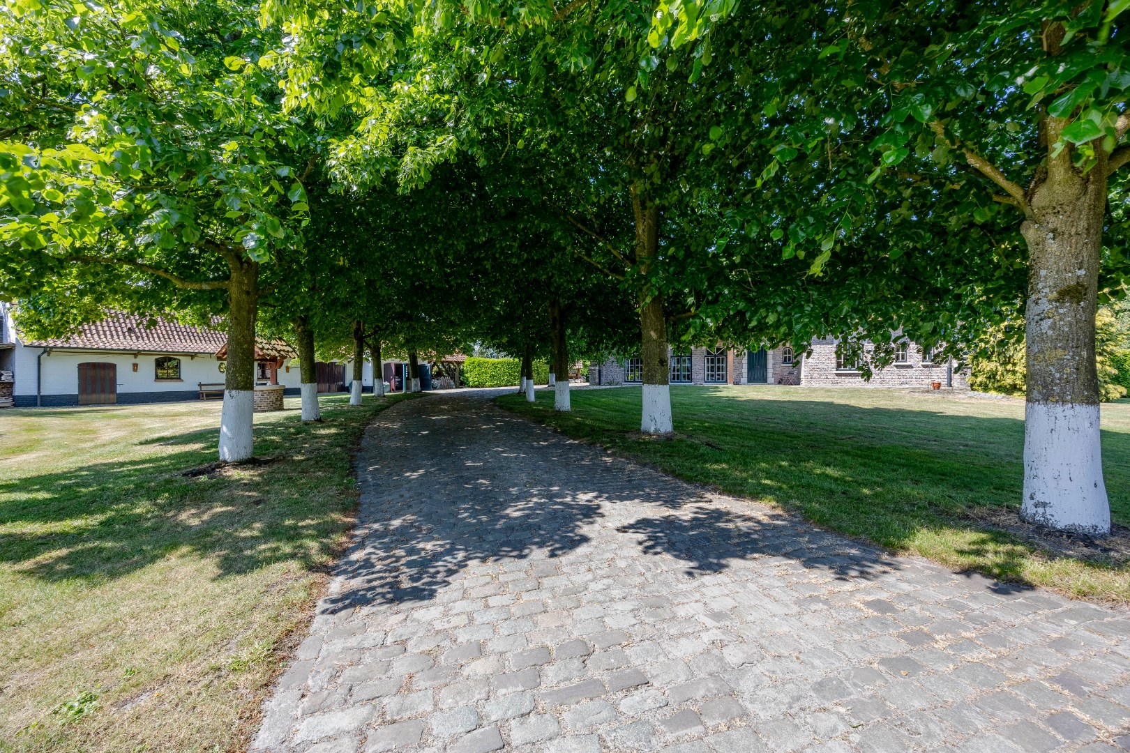 Verkoop - Knesselare