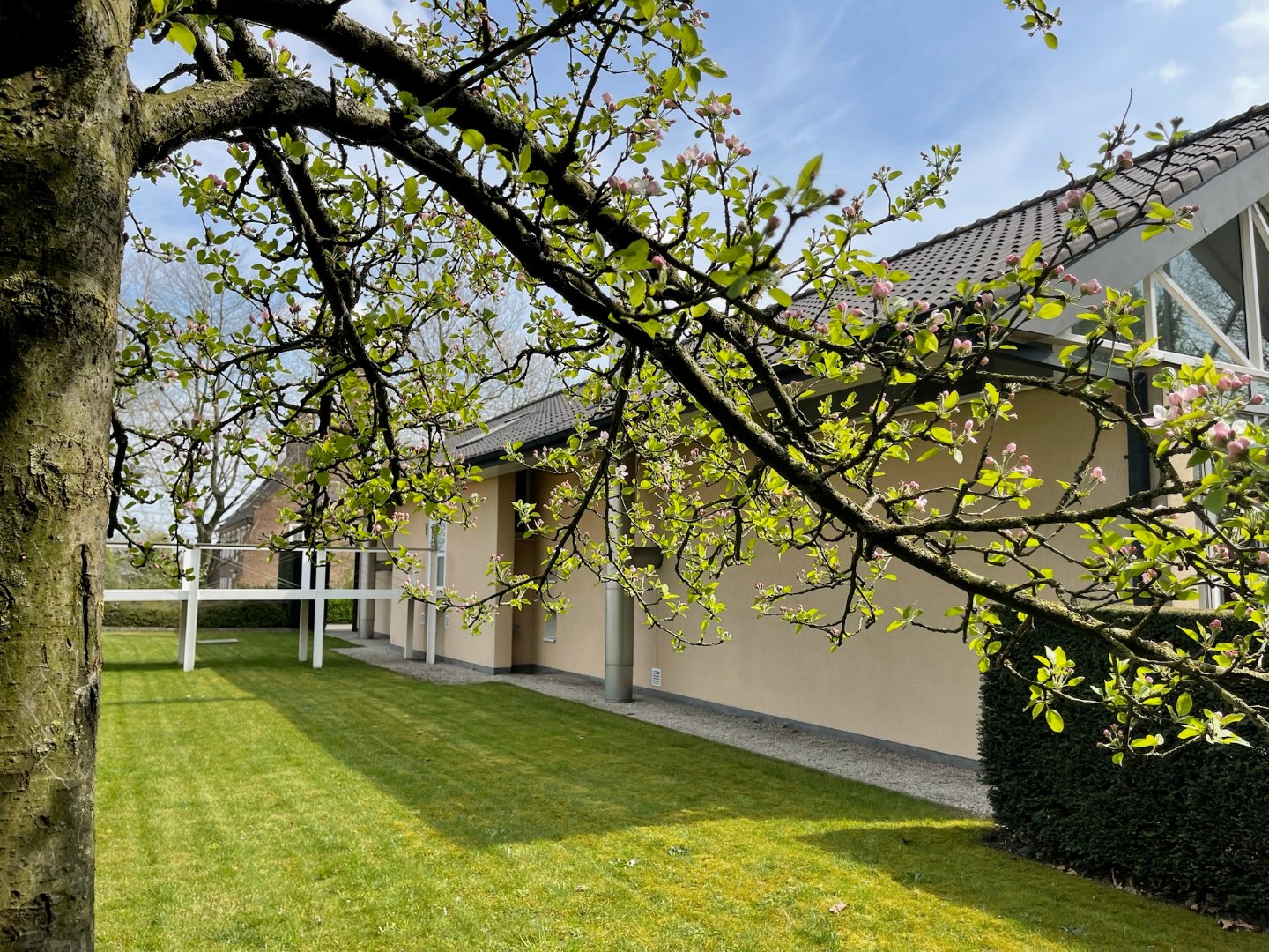 Verkoop - Tielt