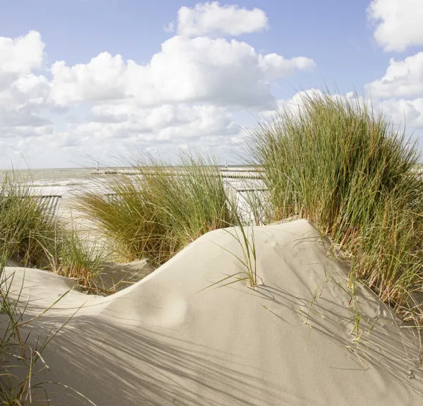 vastgoed aan de kust, investeren in vastgoed