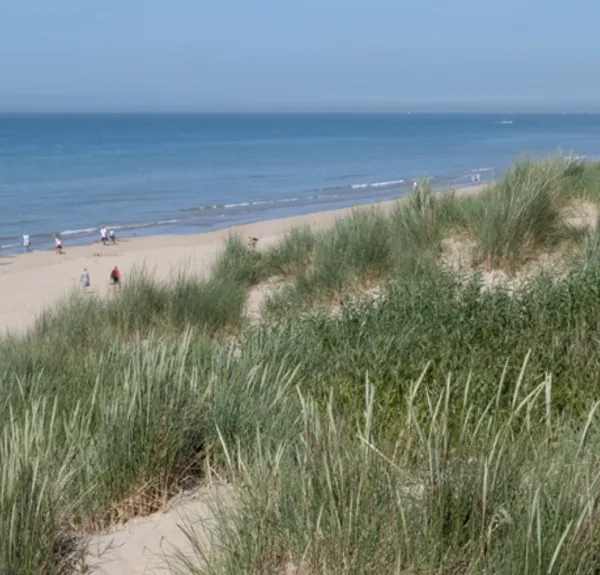 Kust - duinen