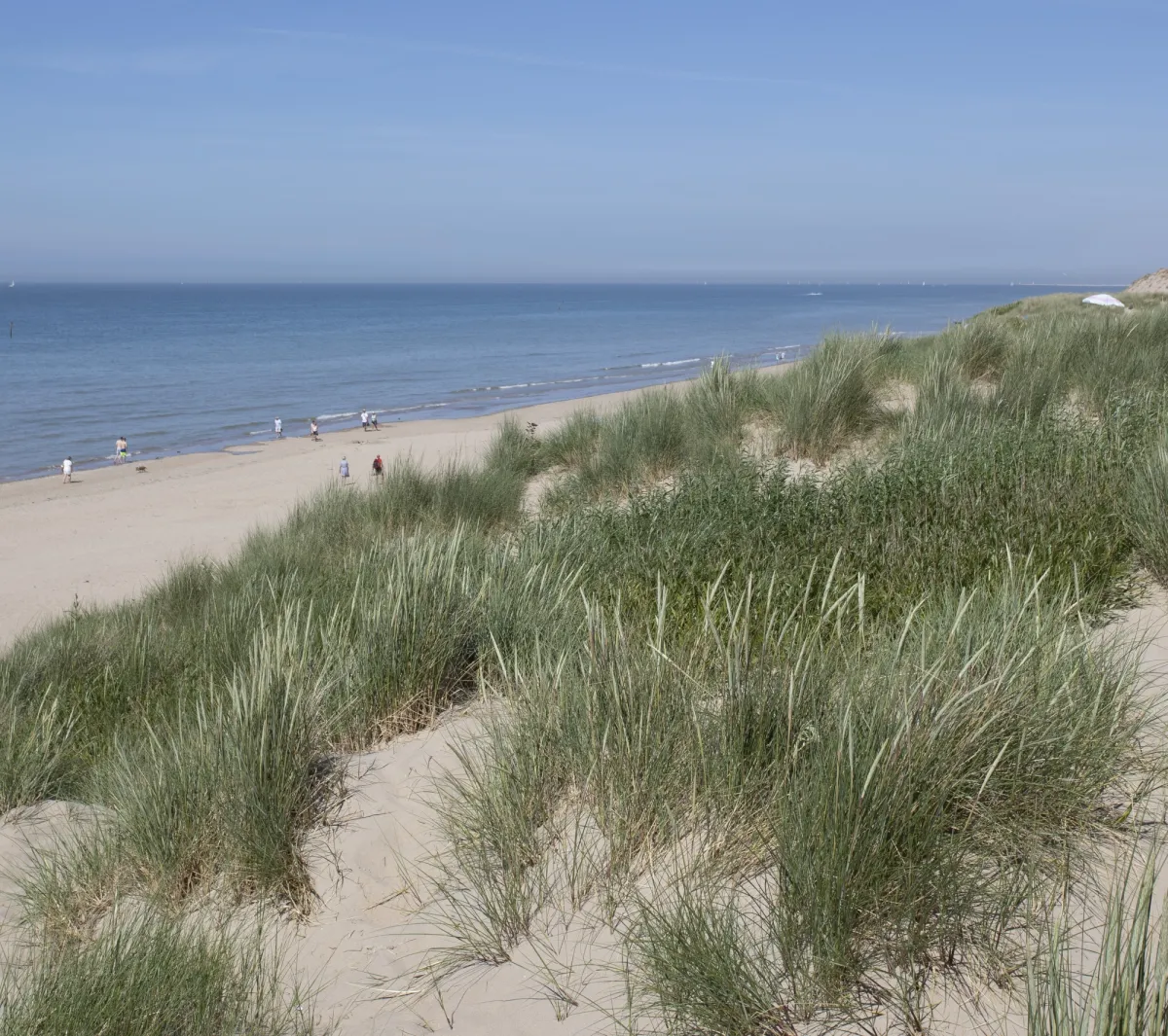 Sint-Idesbald Koksijde - duinen Sint-Idesbald Koksijde - duinen